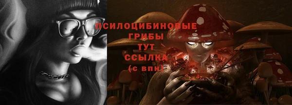 прущие грибы Нягань